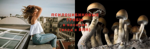 хмурый Абинск