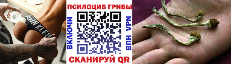 Галлюциногенные грибы MAGIC MUSHROOMS  Сысерть 
